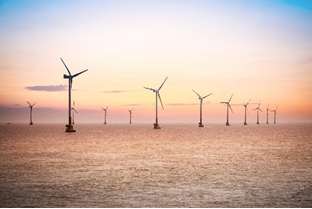 Wind farm